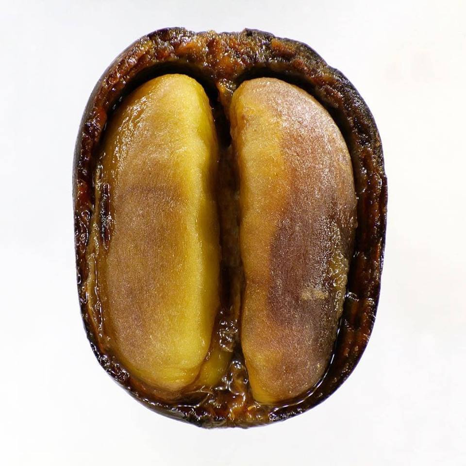 kiến thức rang cà phê